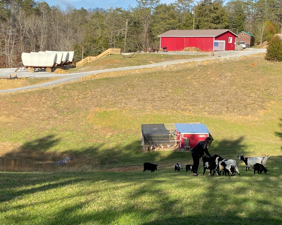 Smoky Hollow Outdoor Resort Covered Wagon Sevierville Esterno foto