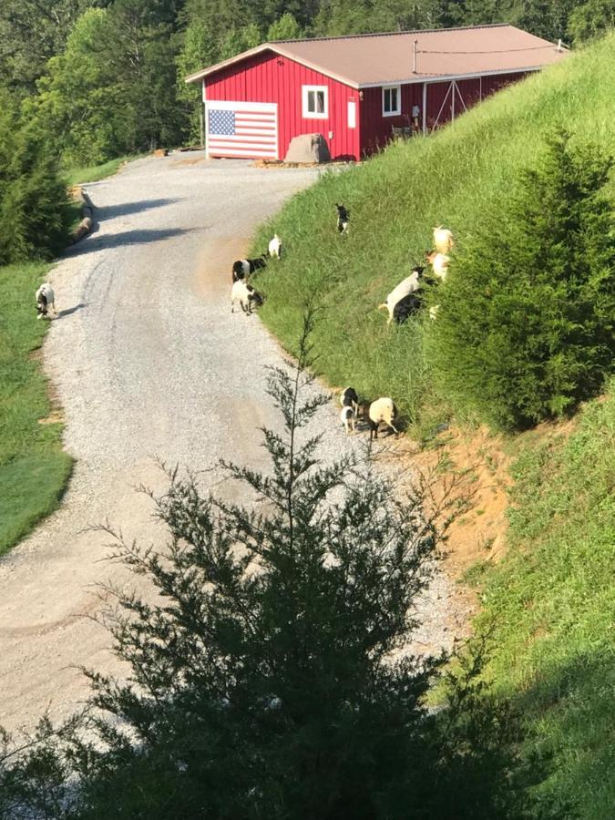 Smoky Hollow Outdoor Resort Covered Wagon Sevierville Esterno foto